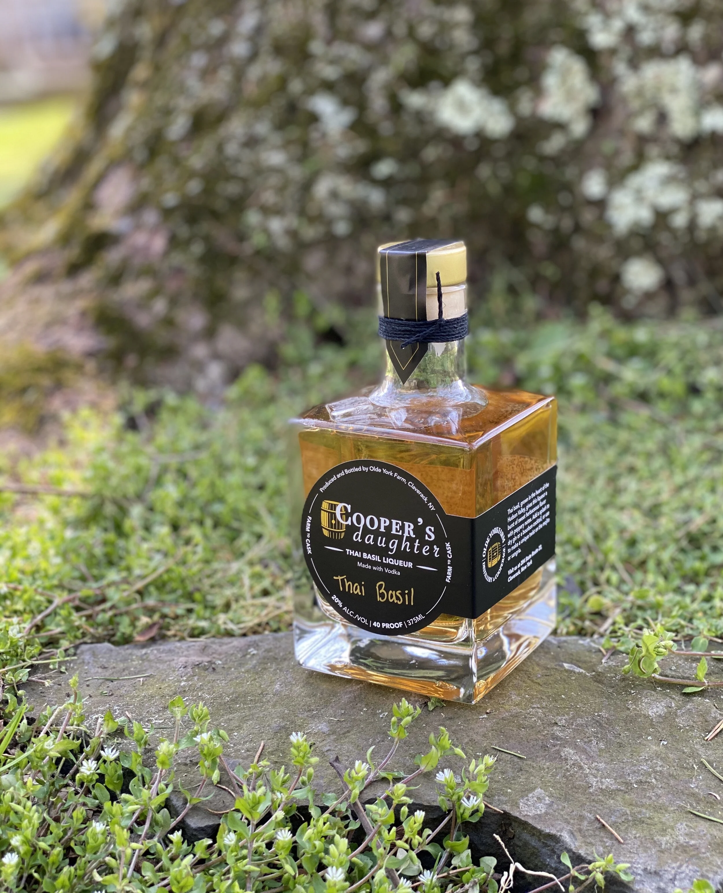 Ship — Cooper's Daughter Spirits